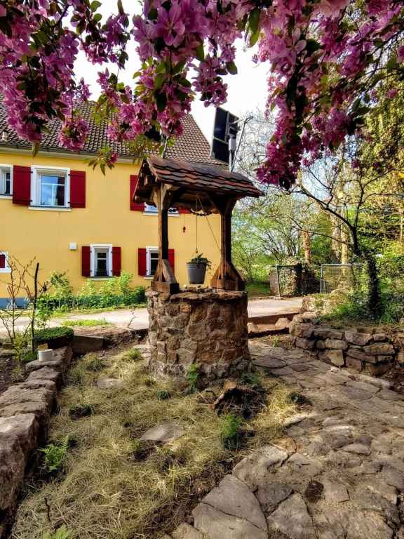 FERTIGER BRUNNEN MIT OSTERSCHMUCK