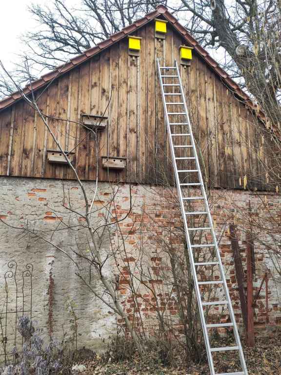 FLEDERMAUSKAESTEN AN HAUSWAND