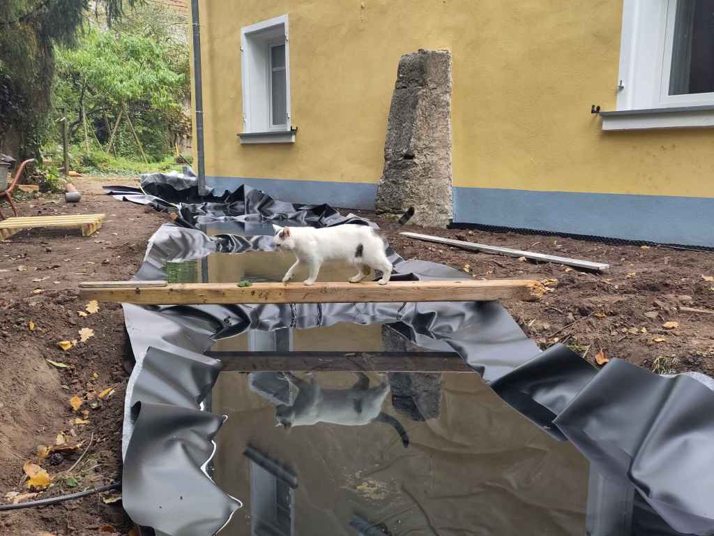 A TEICHFOLIE EINLEGEN