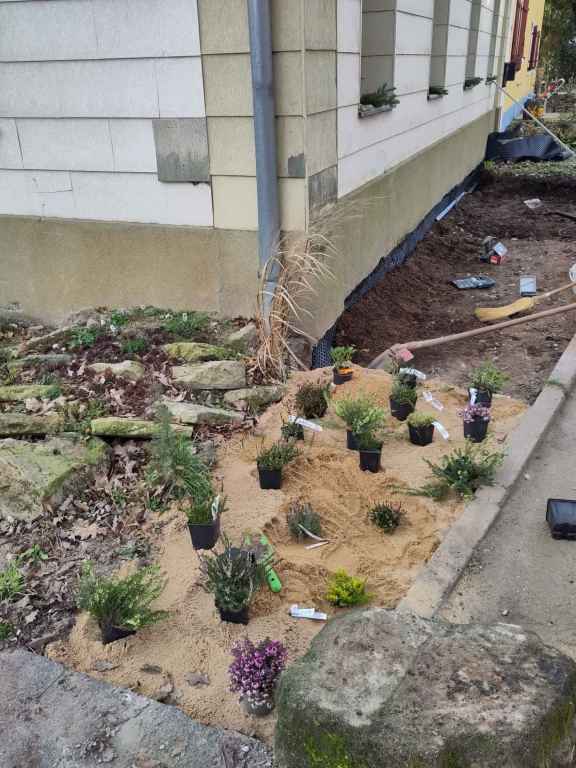 HEIDEPFLANZEN ANPFLANZEN