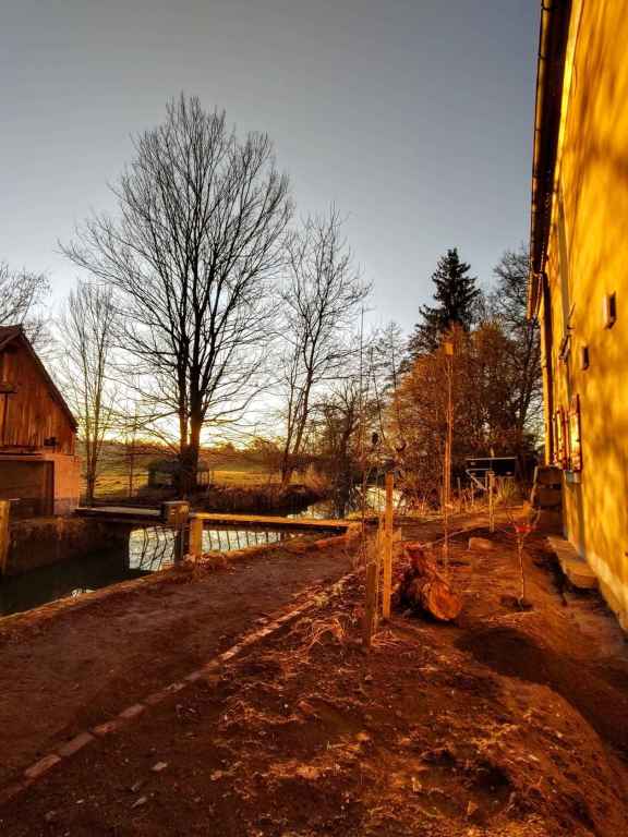 FERTIGES BEET BEREIT ZUM BEPFLANZEN