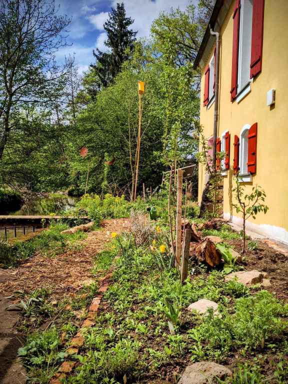 ERSTE KEIMLINGE IM FRUEHLING