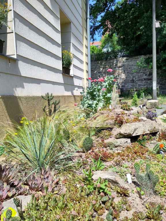 STEINGARTEN NACH ZWEI JAHREN