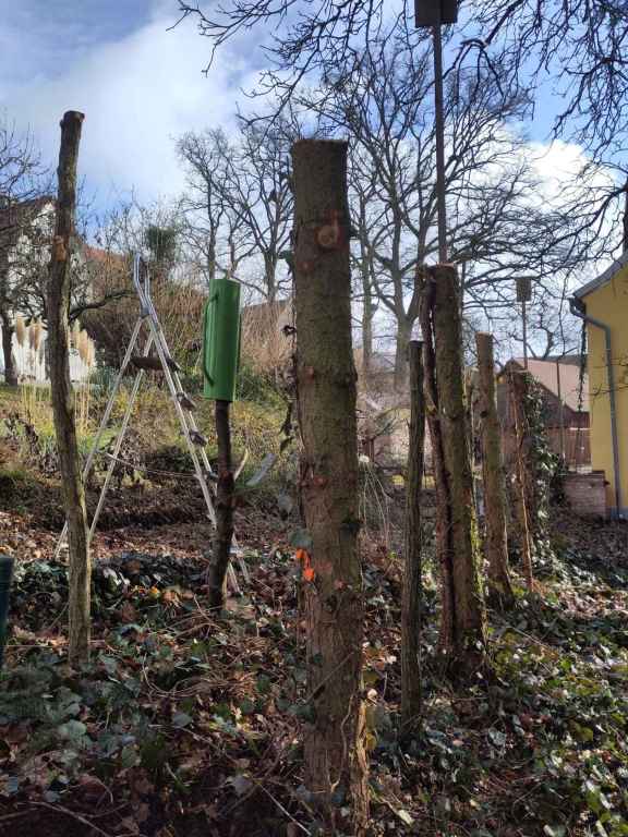 PFOSTEN IN ERDBODEN RAMMEN