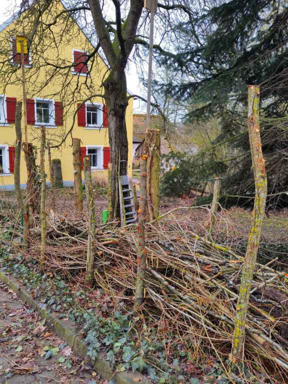 MIT TOTHOLZ BEFUELLEN