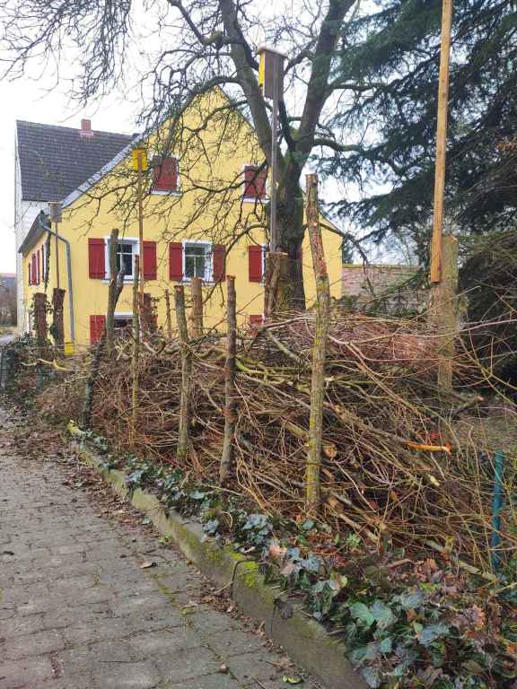 FAST FERTIG BEFUELLT