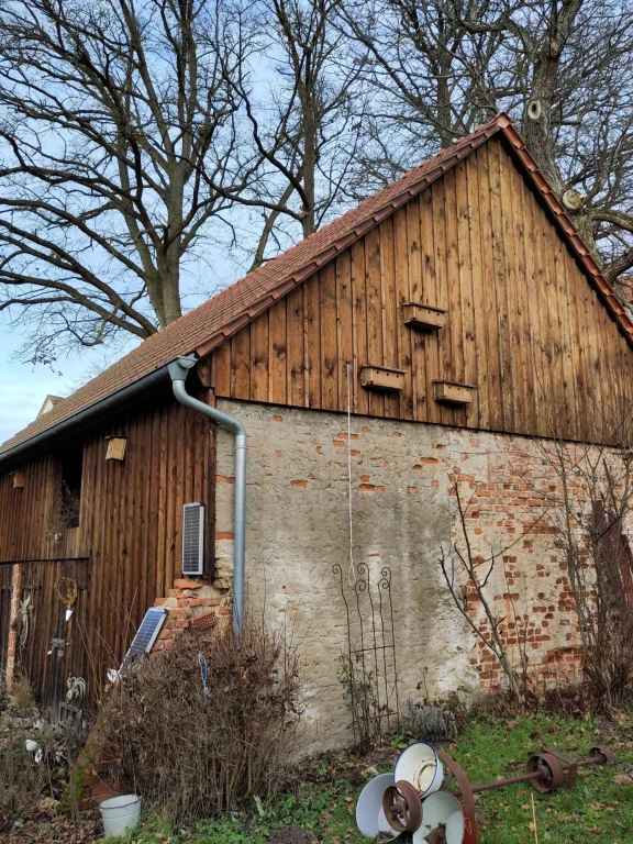 VOGELHAEUSER AUFHAENGEN