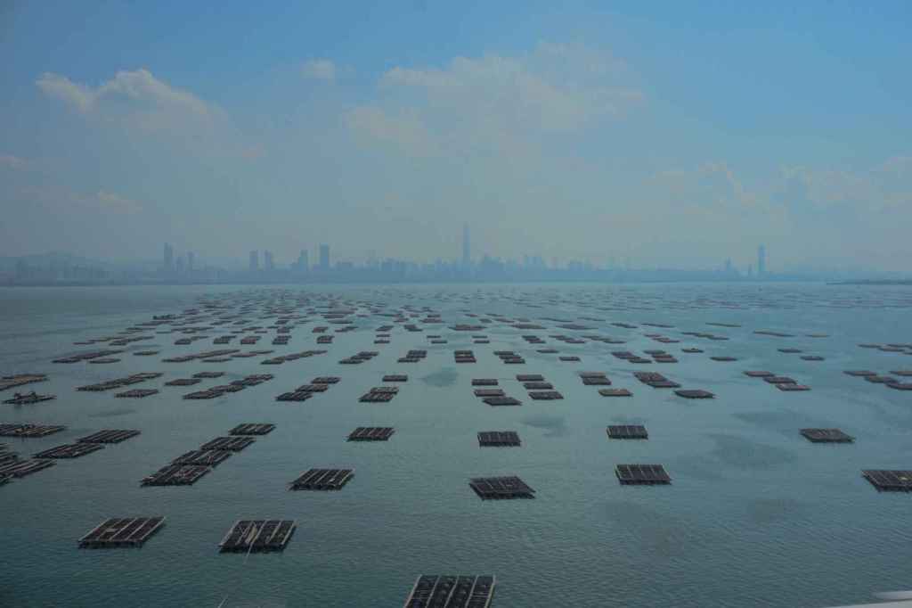 Bucht und Skyline von Shenzhen