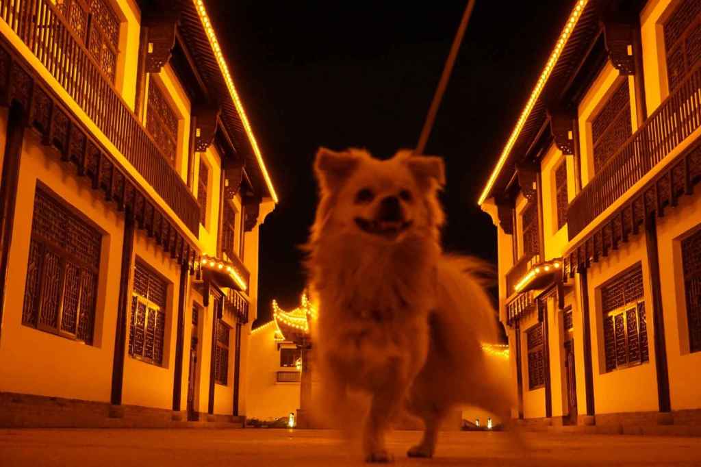 Beleuchtete Nachtstraße