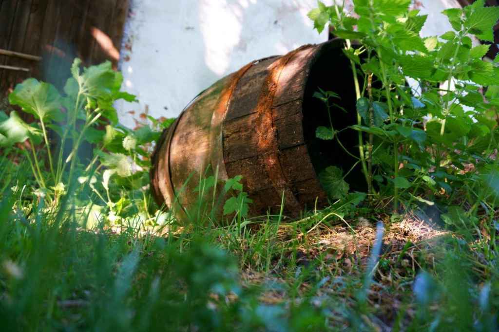 Niederndorfer Mühle