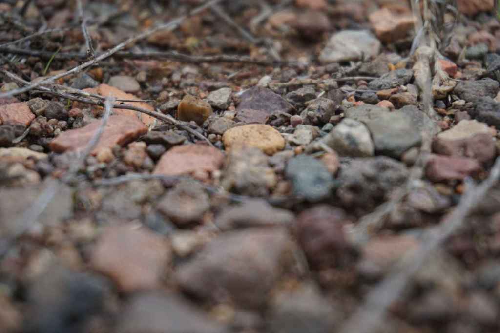 Steppenboden Ground Zero