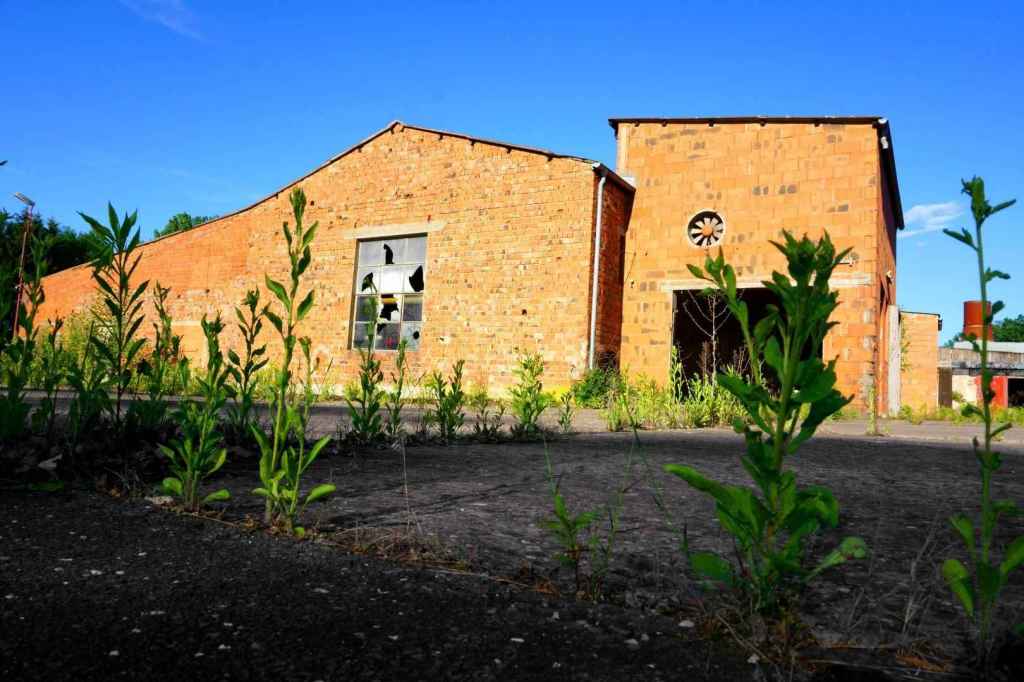 Gebäude überwuchert