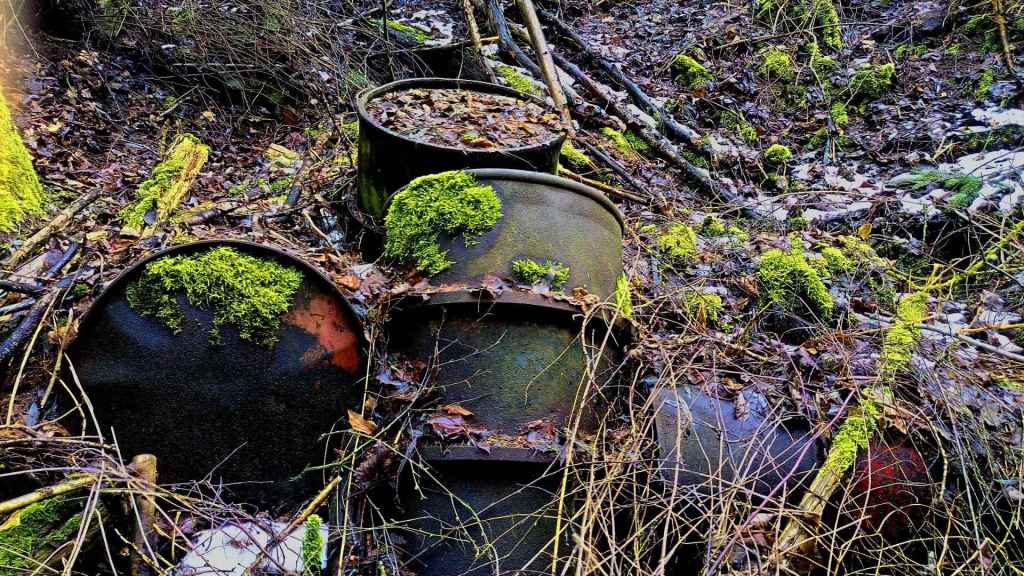 Fässer mit Moos im Wald