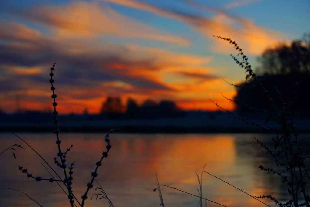 Sonnenaufgang über dem Weiher