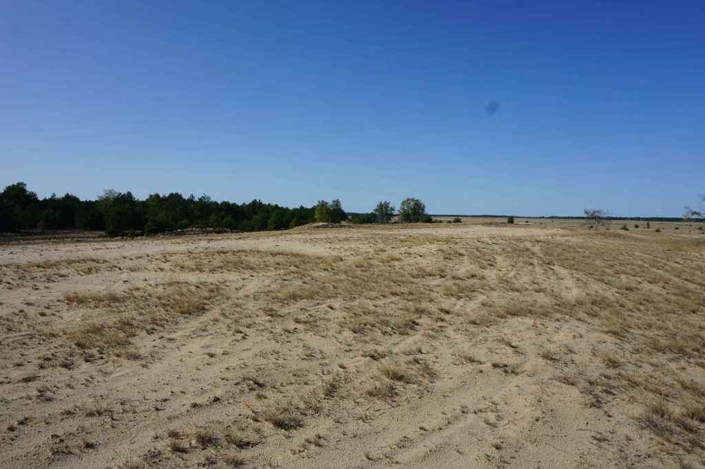 Die Wüste wird zurückgedrängt