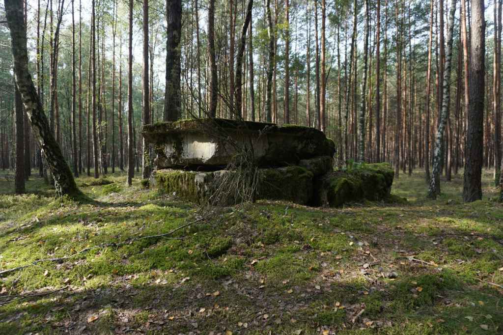 Verlassene Betonbunker im Wald