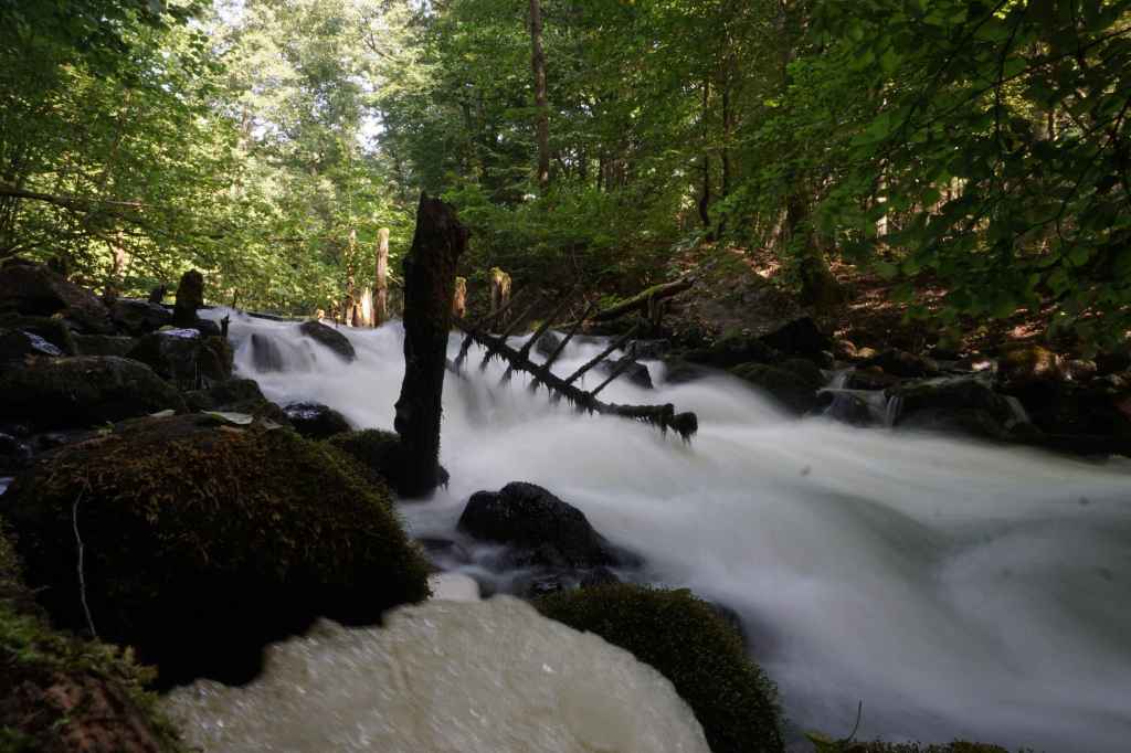 Wodnego Mühle Ruine