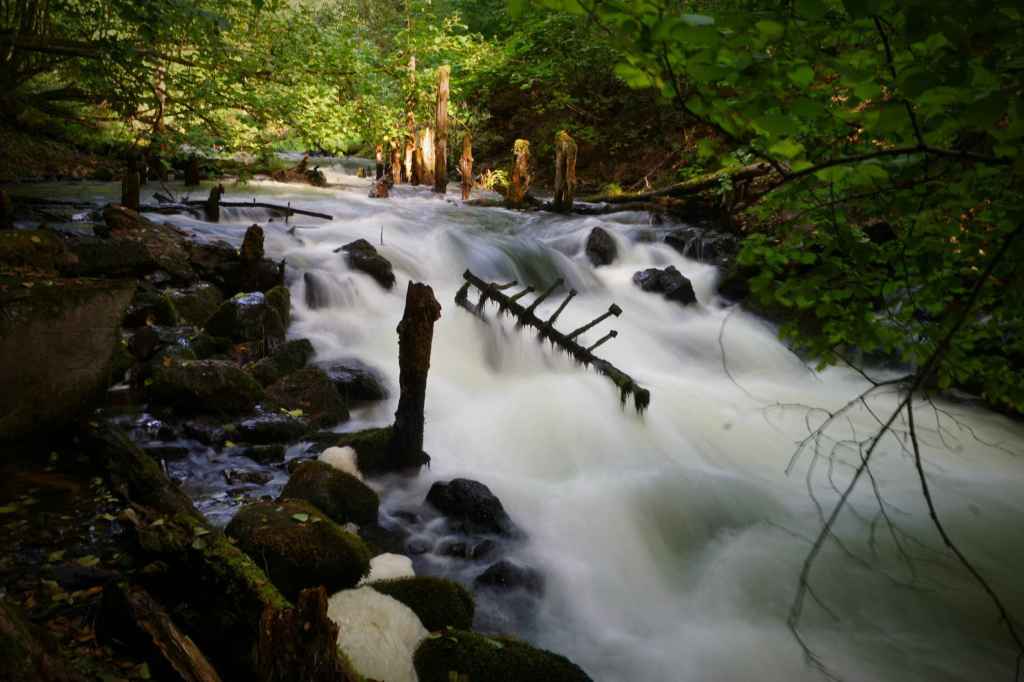 Wodnego Mühle Ruine
