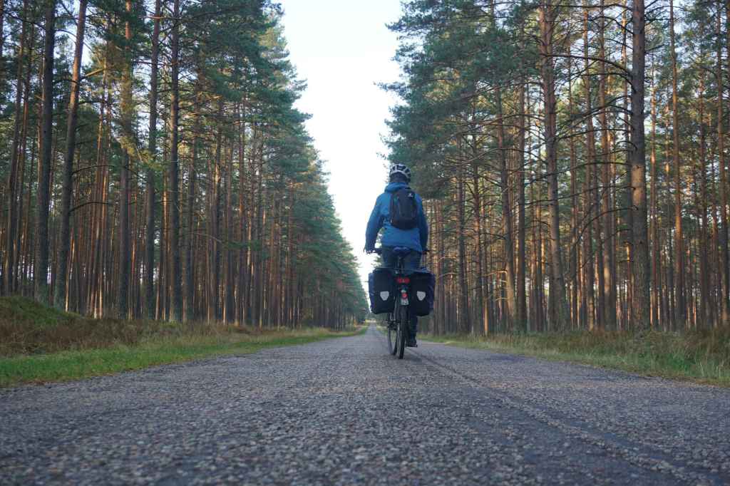 Fahrt durch den Wald