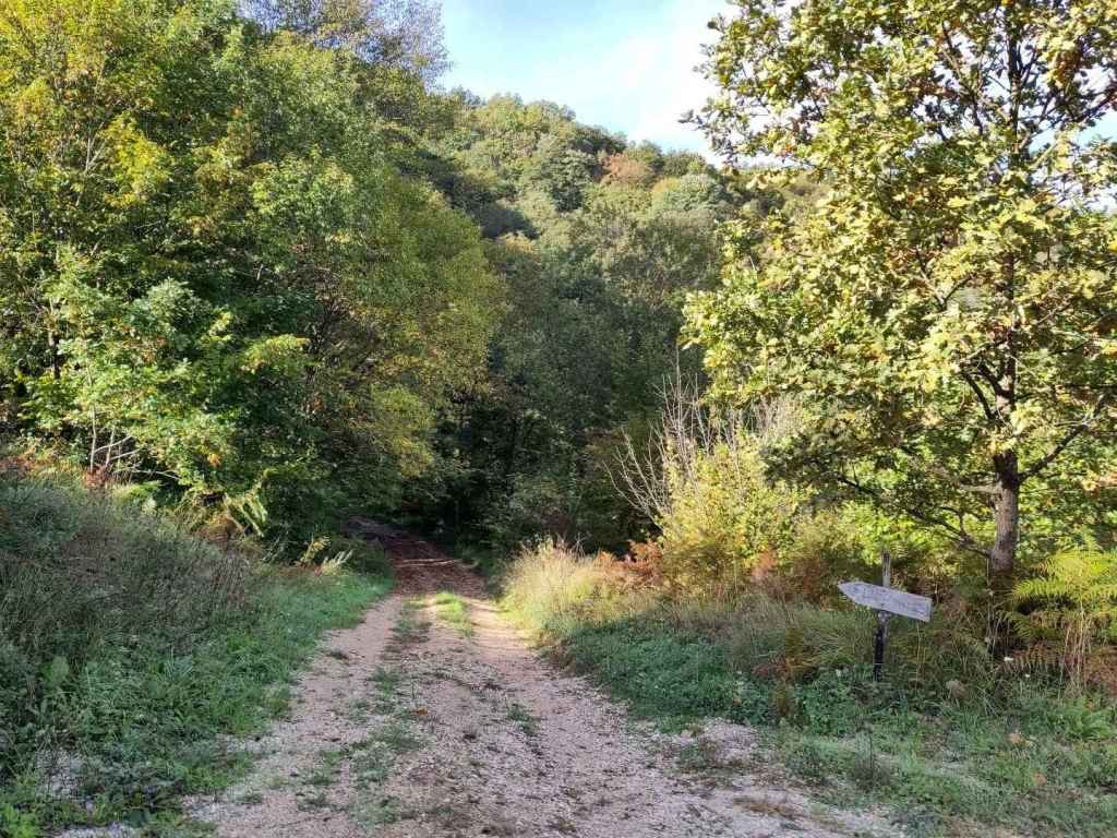 Wanderweg zur Höhle