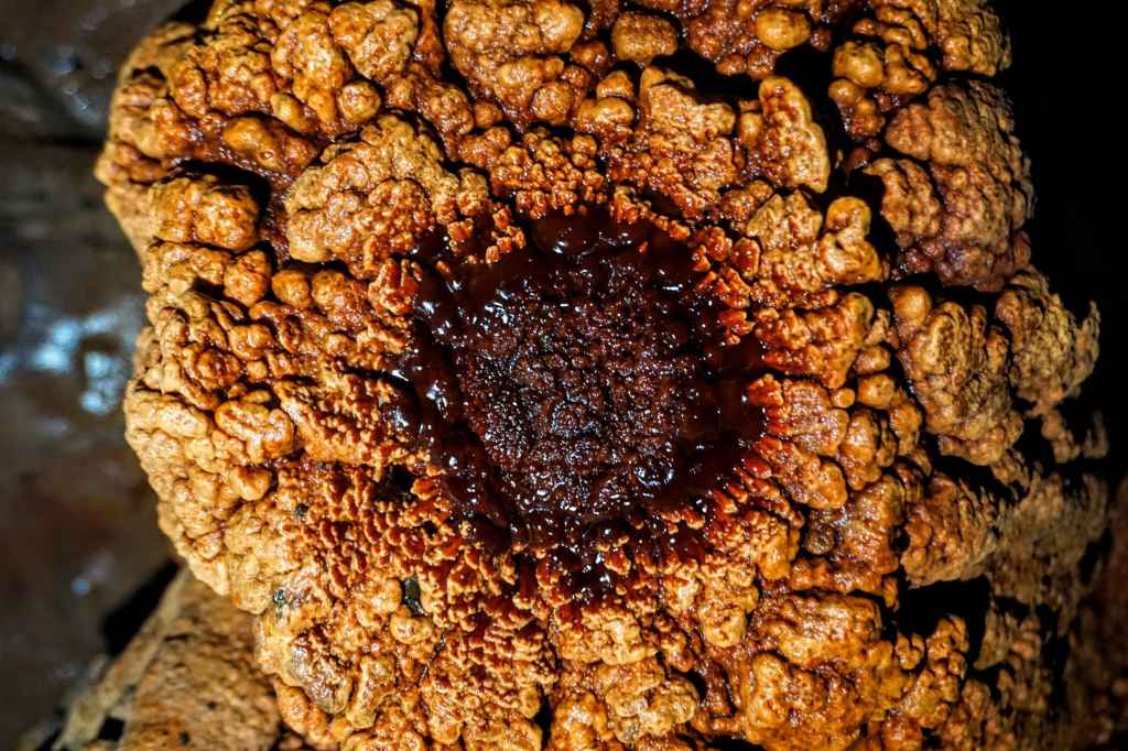 Nahaufnahme eines Stalagmiten