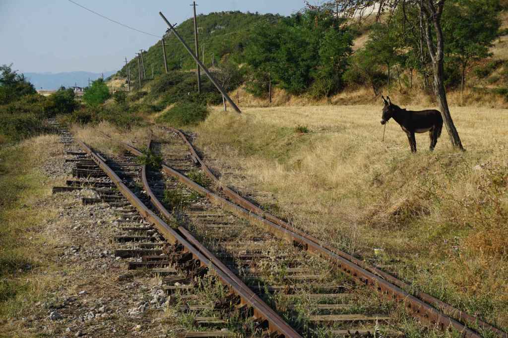 Alte Bahnlinie und Esel