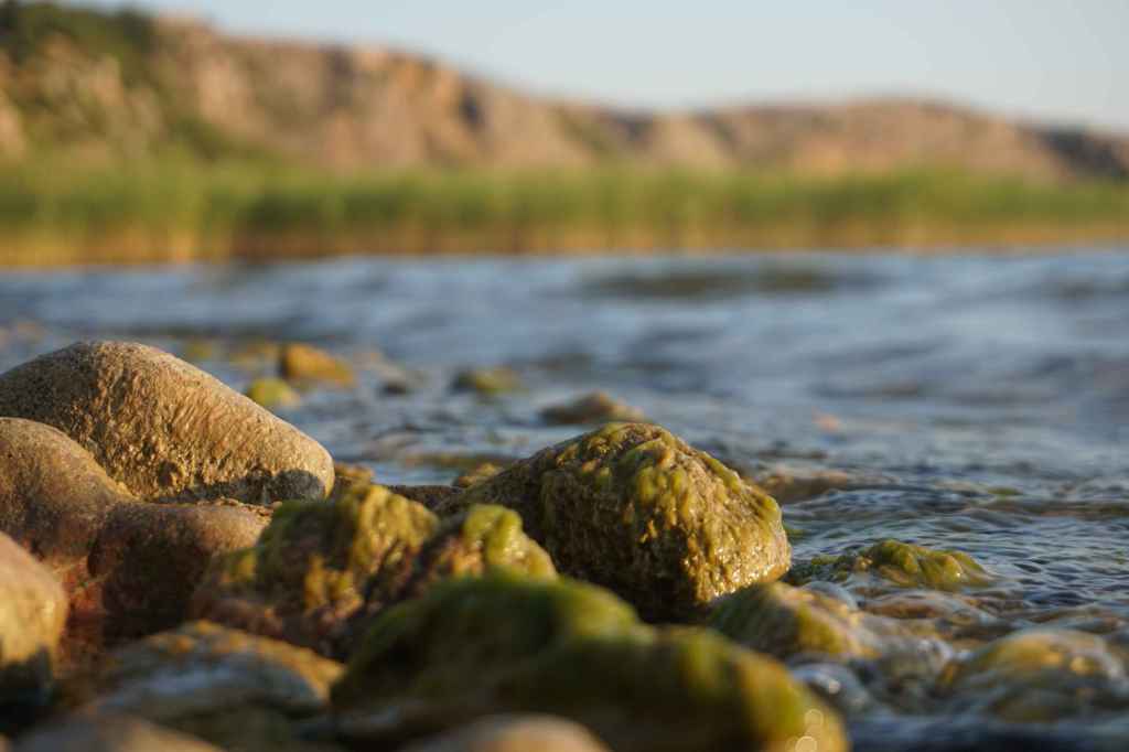 Steinufer Nahaufnahme