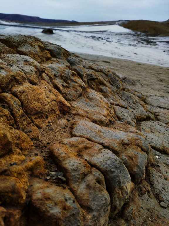 Nasser algenbewachsener Schlamm