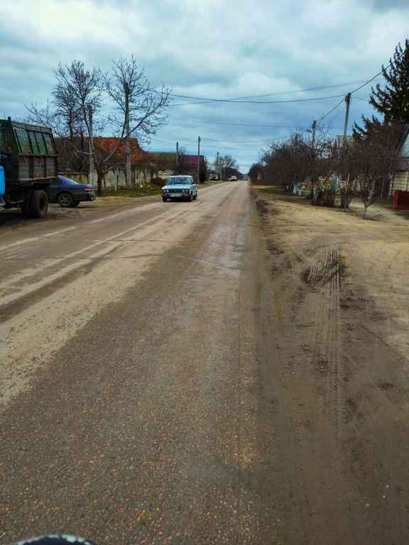 Dorfstraße in Parcani