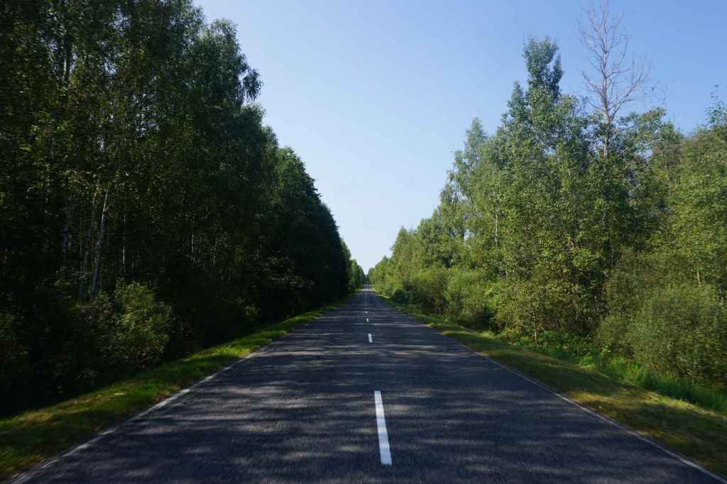 Wald Typische Landstraße