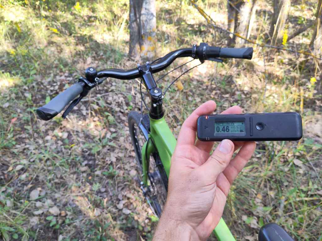 Erhöhte Strahlung Im Wald