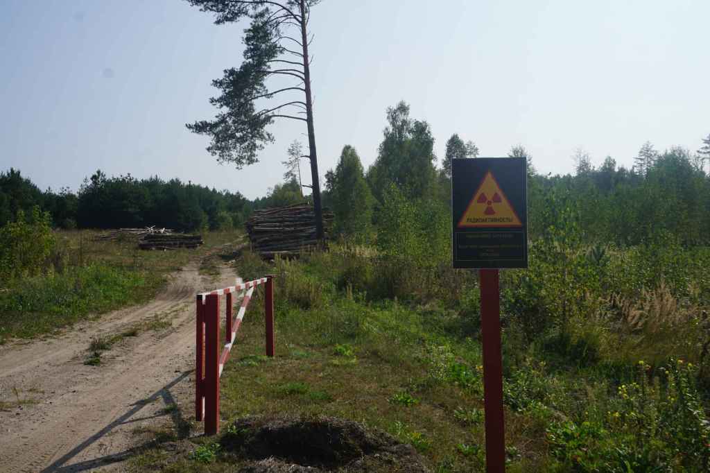 Baumfällarbeiten In Sperrzone