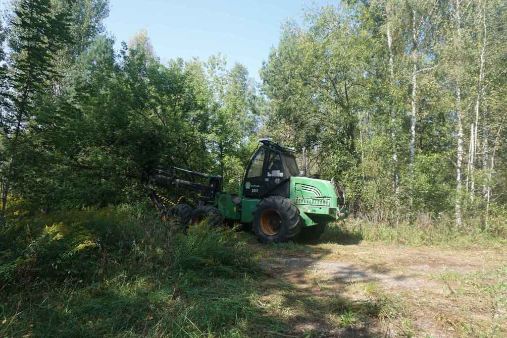 Holzernter Versteckt Im Wald