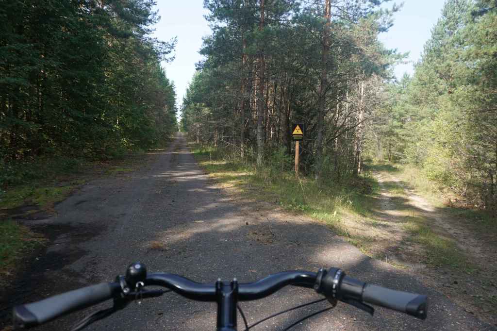 Zugewachsene Nebenstraße