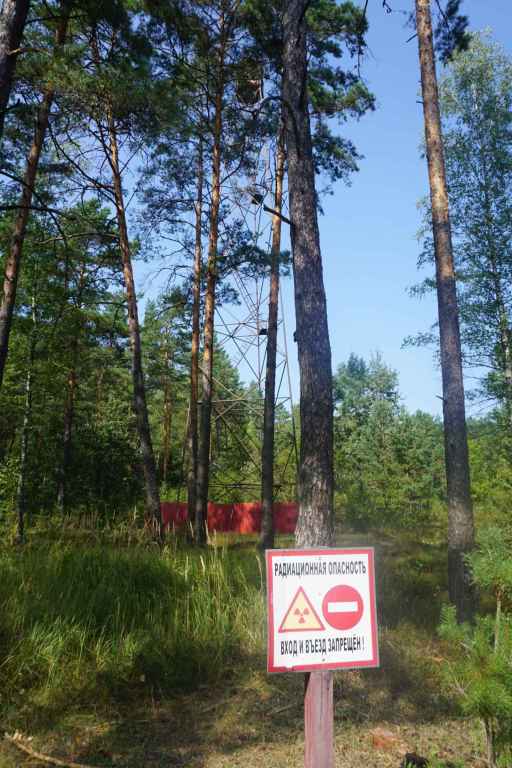 Feürwachturm Im Wald
