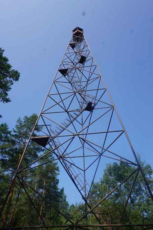 Feürwachturm Im Wald