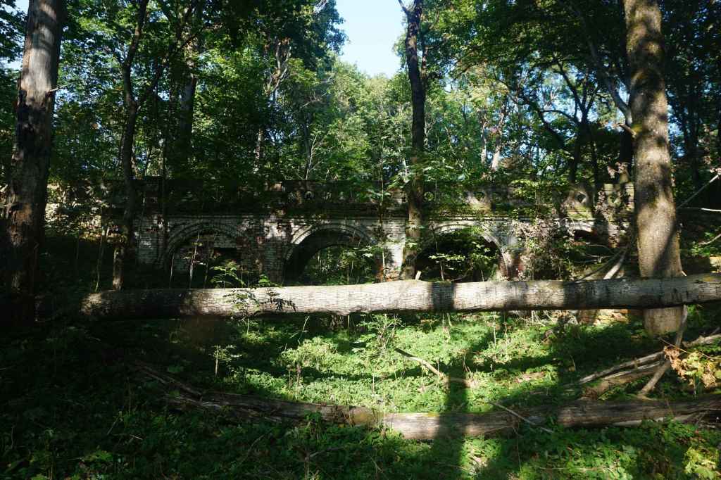 Überwucherte Steinbrücke