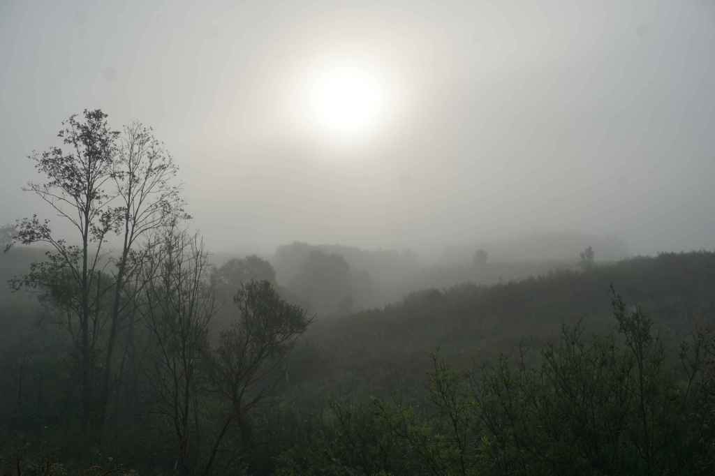 Nebel Über Der Landschaft