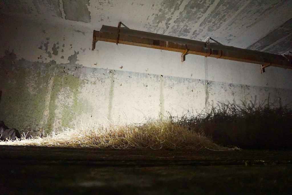 Kartoffeln Im Bunker