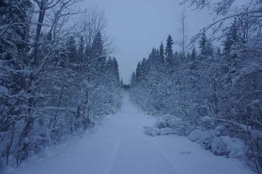 Wanderung Zur Loüvaara Schutzhütte