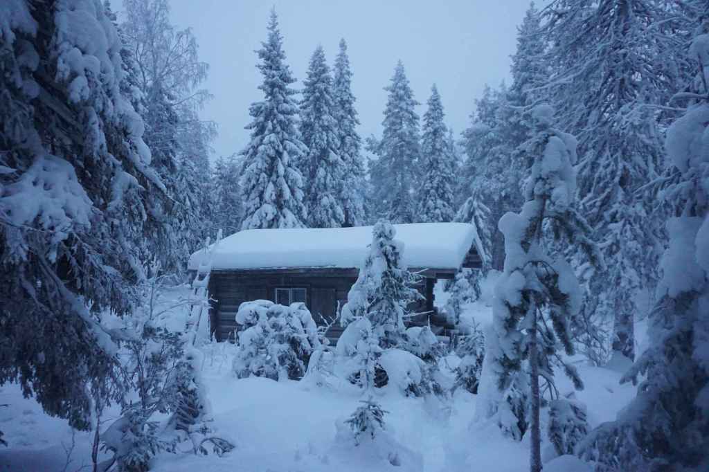 Ankunft Loüvaara Open Wilderness Hut