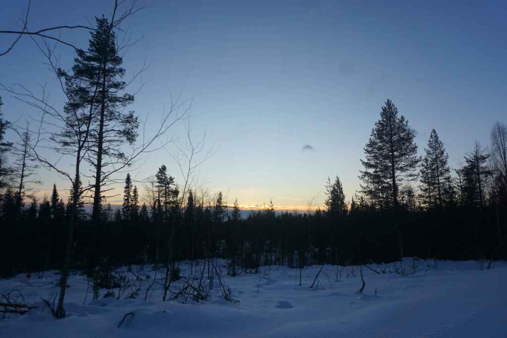 Wintersonne Am Polarkreis