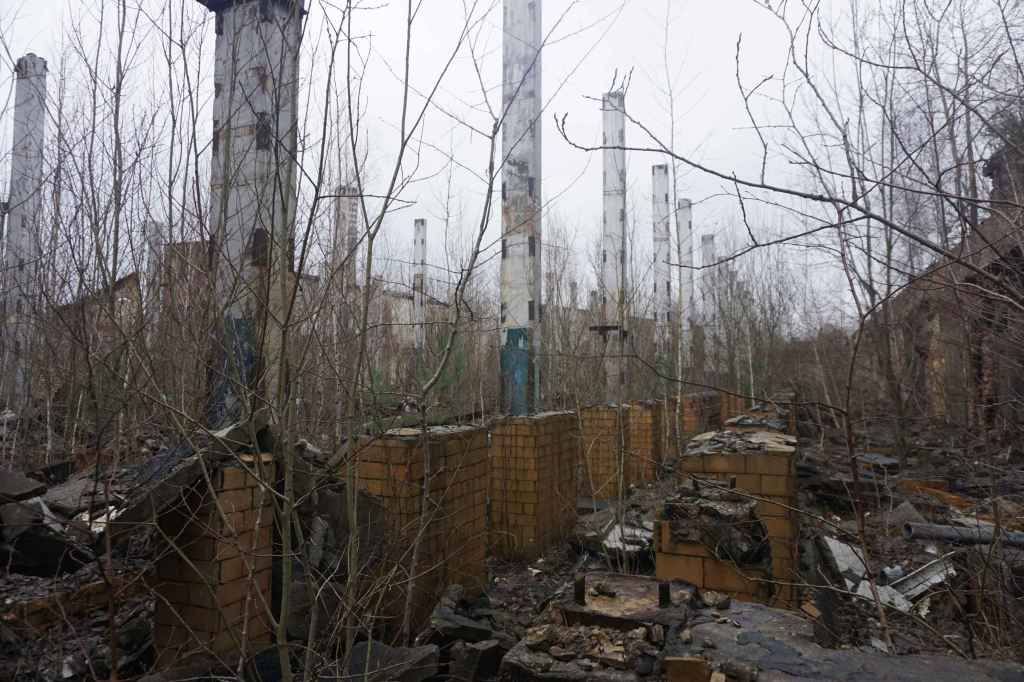 Die Natur Kommt Zurück