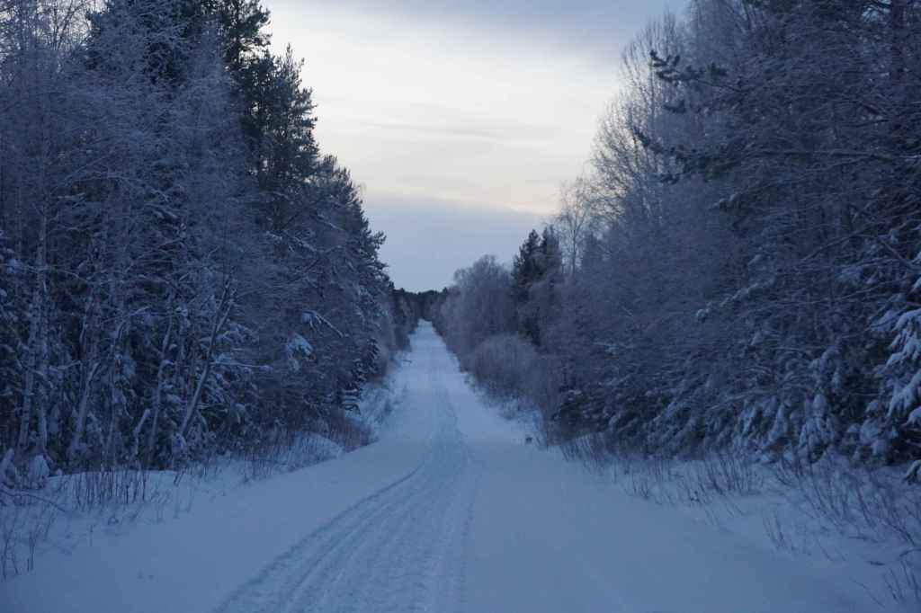 Wanderung Zur Hütte