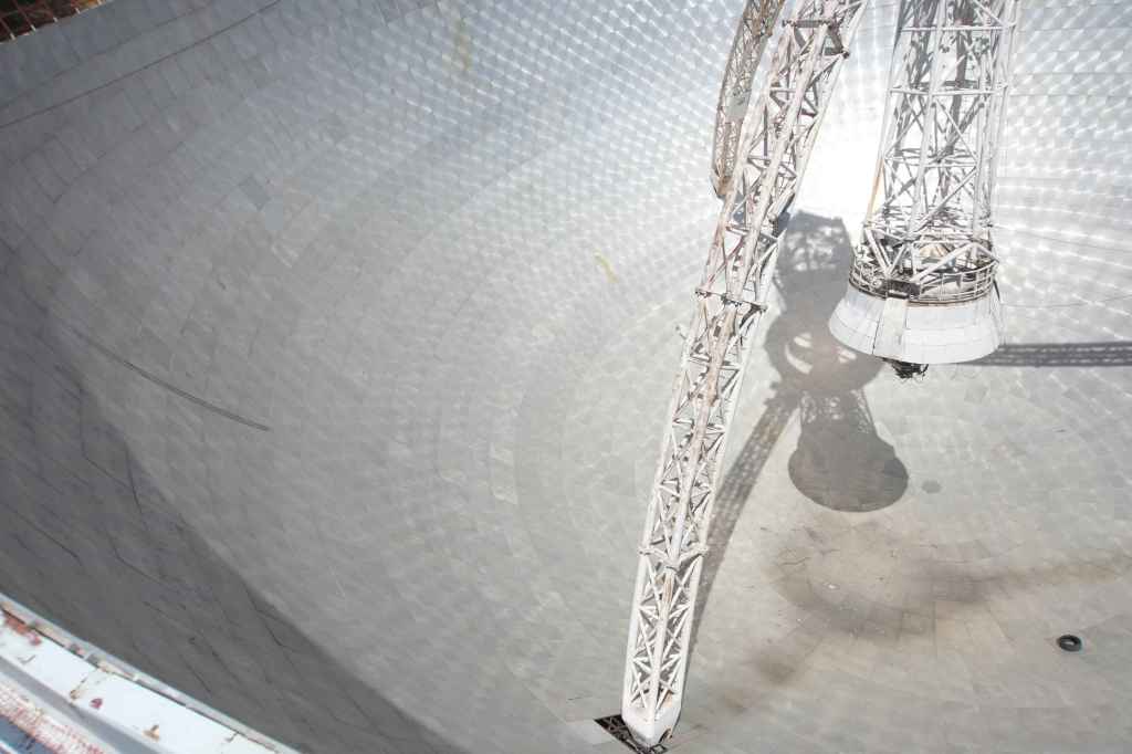 Blick in die Schüssel