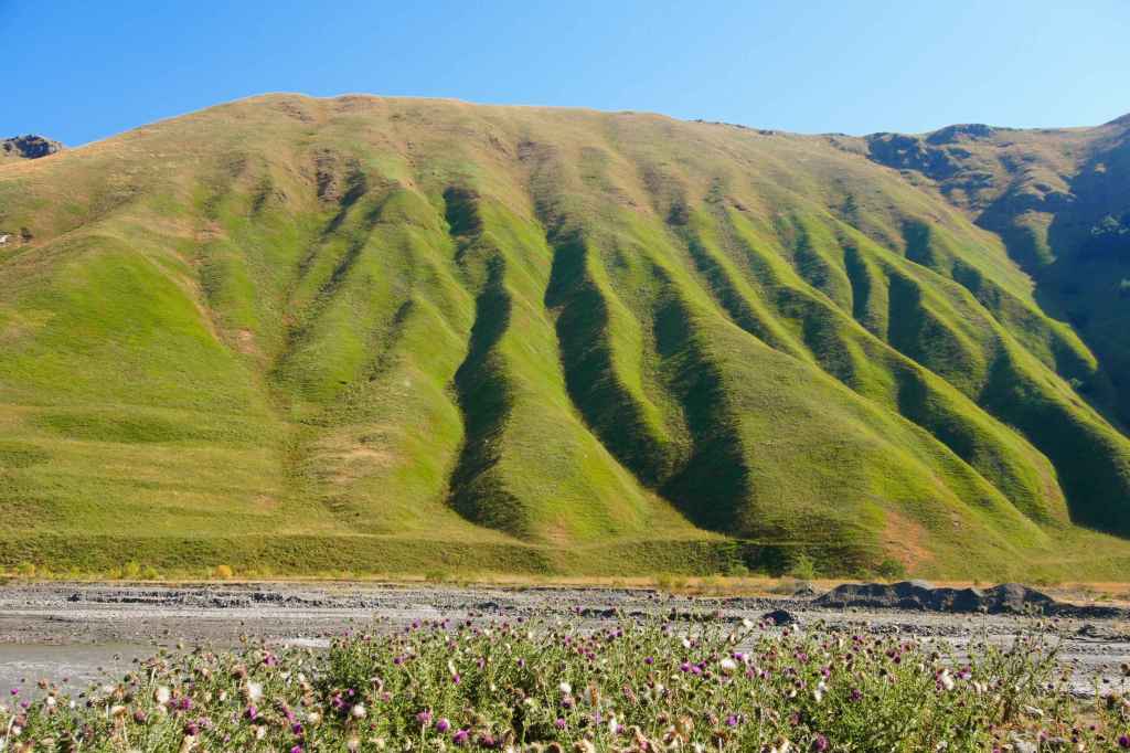 Zurück in Almasiani