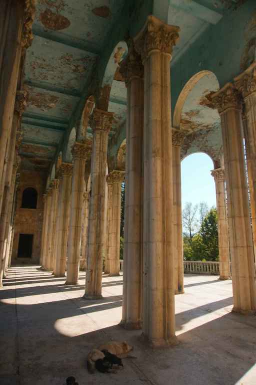 Eingangsbereich und Straßenhunde