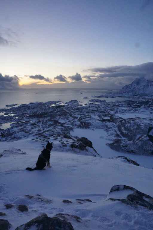 Ausblick Nach Kabelvag