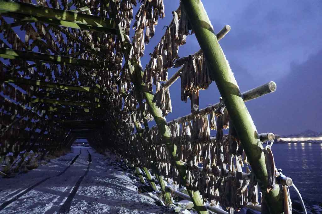Aufgehängte Fische Zum Trocknen