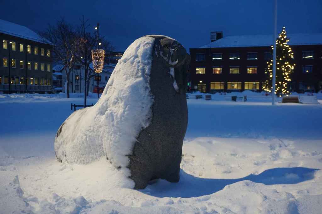 Seelöwe Statü In Bodo